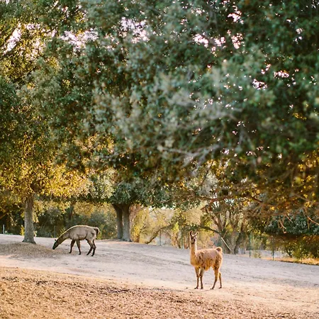 Domaine Naturiste De Riva Bella
