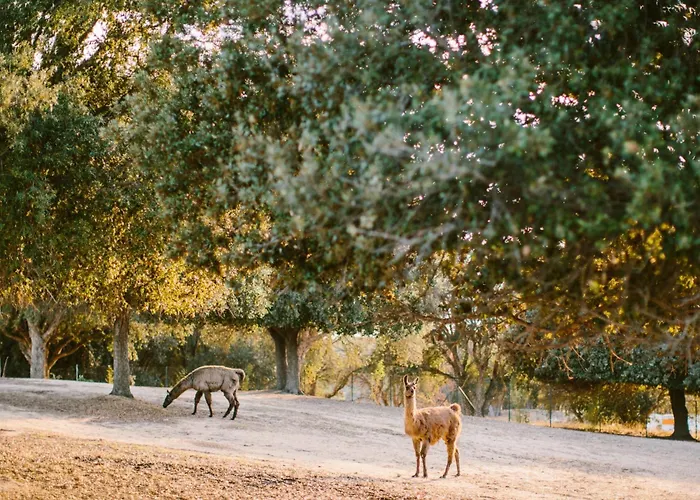 Domaine Naturiste De Riva Bella